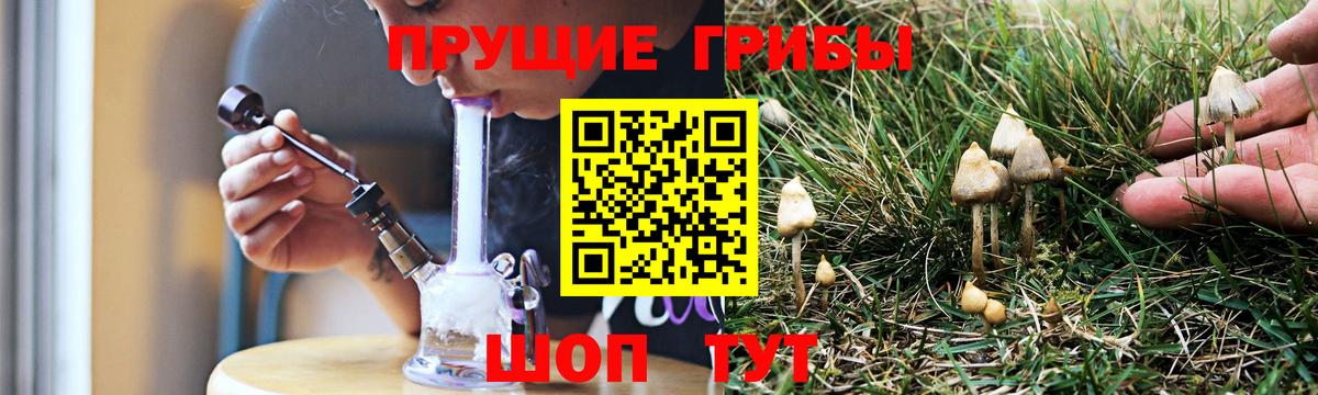 Галлюциногенные грибы Cubensis  Вход с VPN  Губкинский 